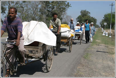 It took six bicycle rickshaws to carry The World's Largest Love Letter and all the student letters from India as the Friends Without Borders team walks the 30 kilometers from Jalianwala Bagh to Wagah Border. 
